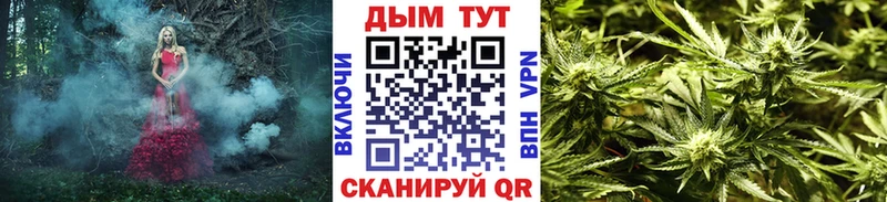Кодеин Змеиногорск