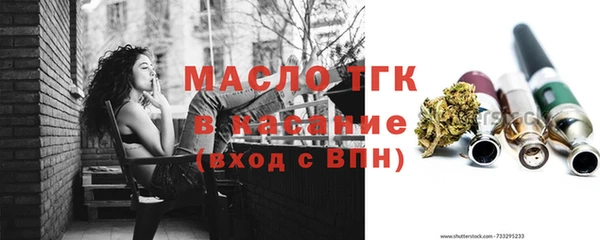 шишки Абаза