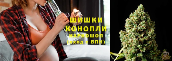 шишки Абаза