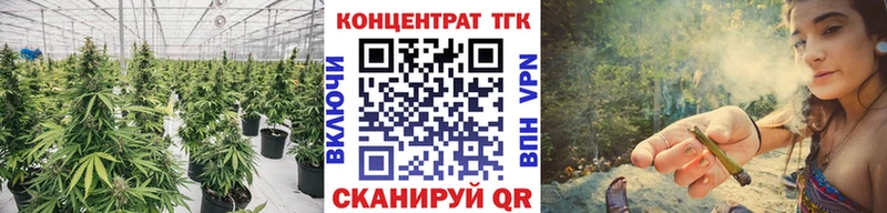 ТГК вейп  Змеиногорск 