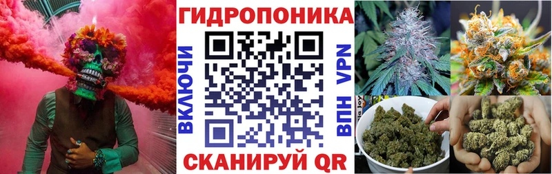 МАРИХУАНА THC 21% Змеиногорск